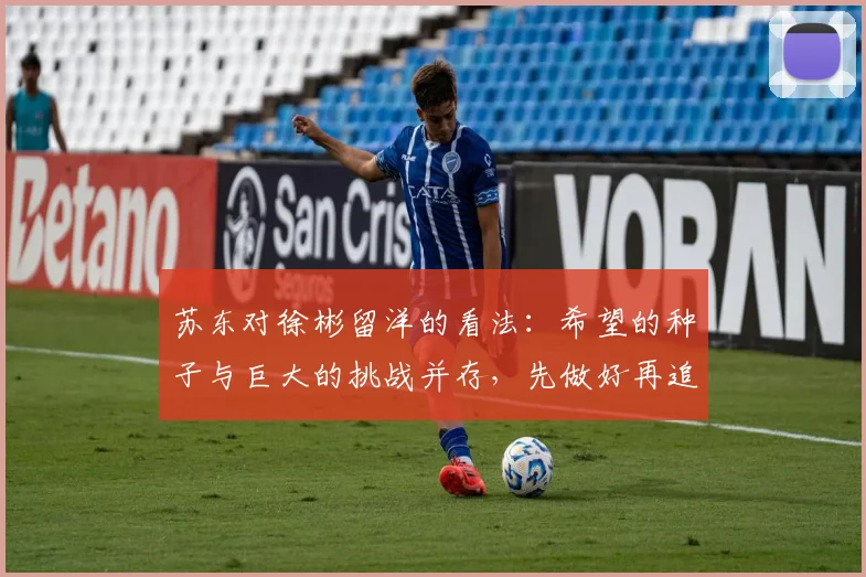 苏东对徐彬留洋的看法：希望的种子与巨大的挑战并存，先做好再追求完美