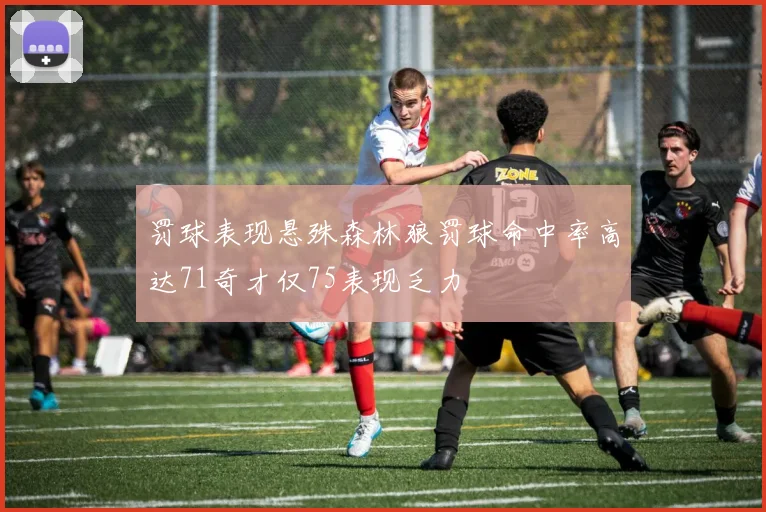 罚球表现悬殊森林狼罚球命中率高达71奇才仅75表现乏力