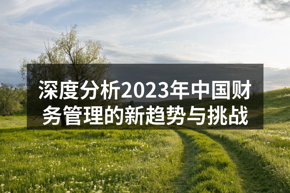 深度分析2023年中国财务管理的新趋势与