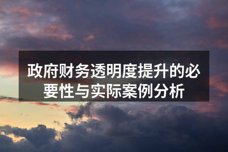 政府财务透明度提升的必要性与实际案例分析