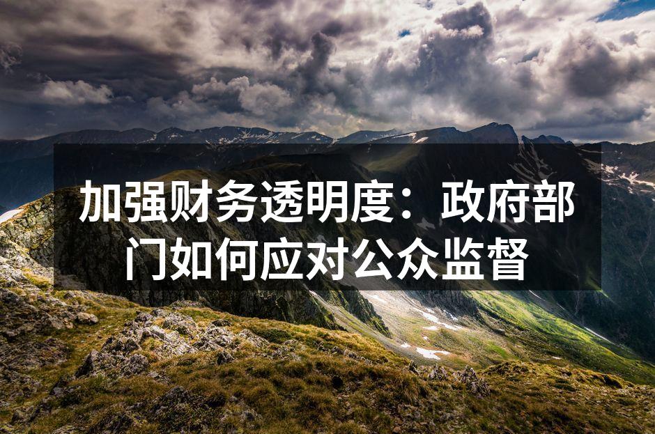 加强财务透明度：政府部门如何应对公众监督