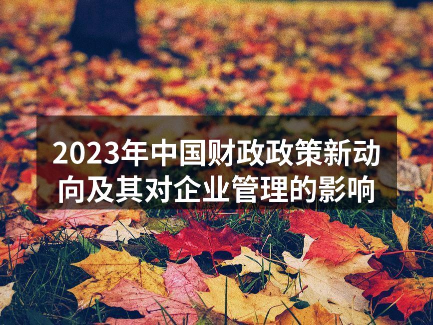 2023年中国财政政策新动向及其对企业管