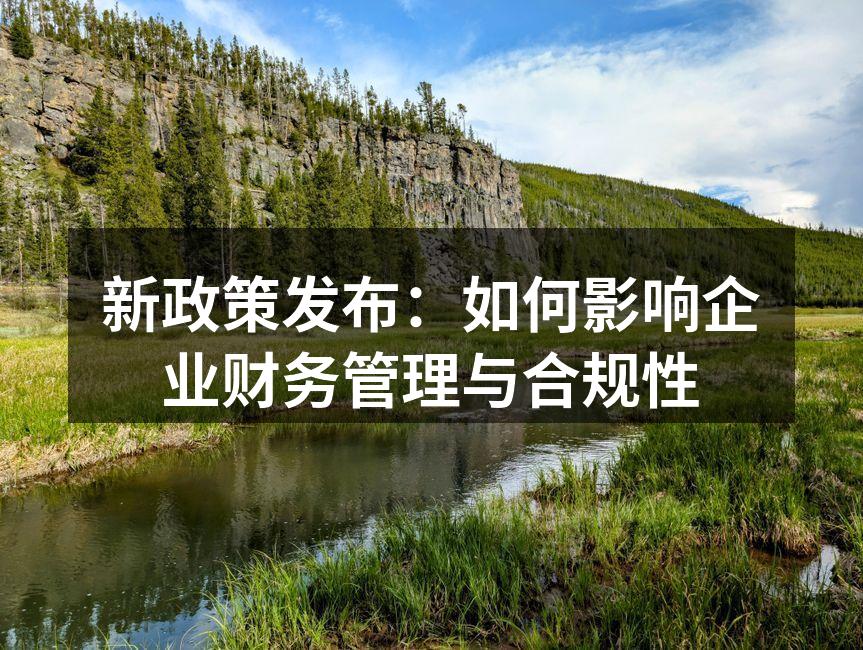 新政策发布：如何影响企业财务管理与合规性
